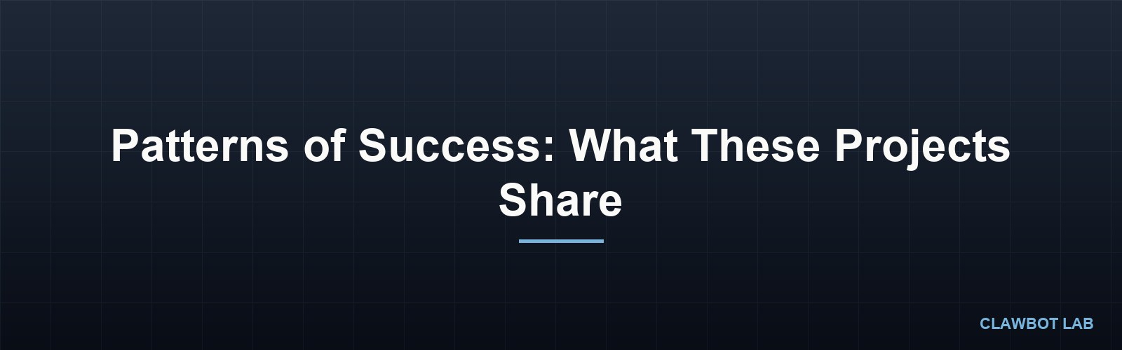 Patterns of Success: What These Projects Share