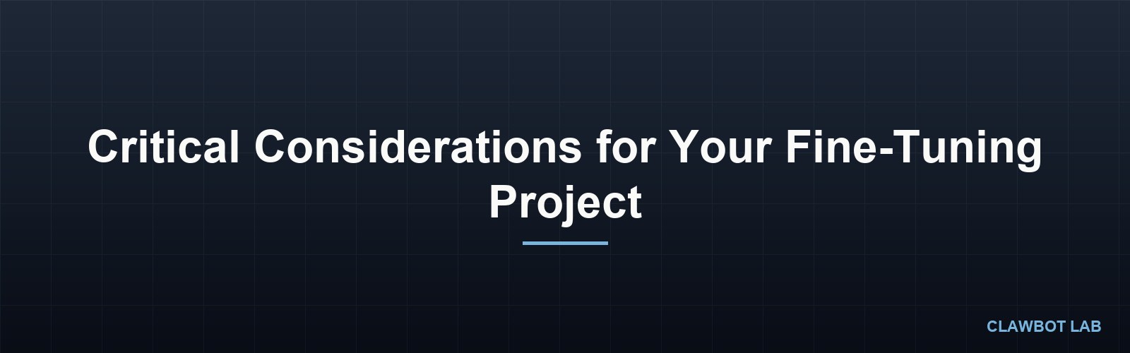 Critical Considerations for Your Fine-Tuning Project