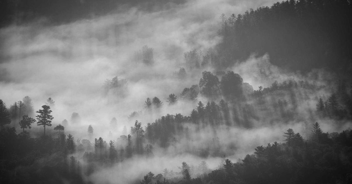 Implementing Privacy-Preserving Agent Patterns: Building OpenClaw Systems with Differential Privacy and Federated Learning