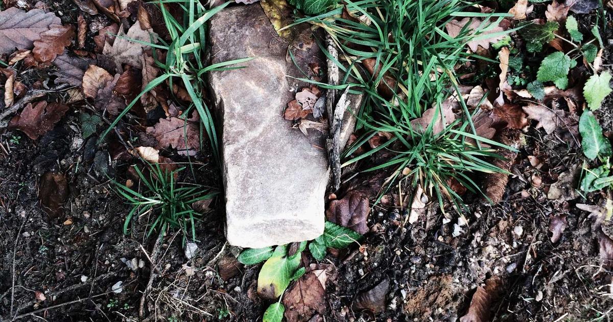 OpenClaw Community Art Project: Collaborative Local AI Agent Development for Creative Expression and Digital Art