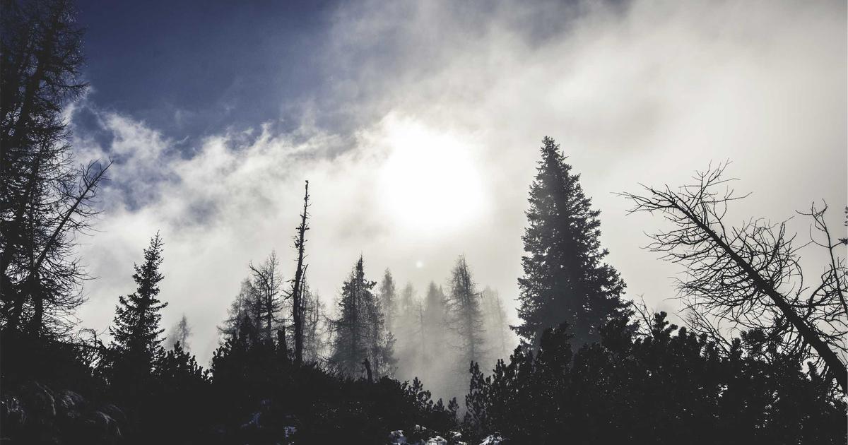 OpenClaw Core for Gaming Applications: Building Local AI Agents for Interactive Entertainment