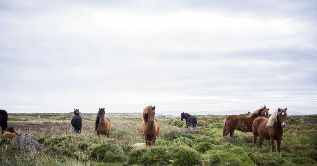 Implementing Predictive Agent Patterns: Building OpenClaw Systems That Anticipate User Needs