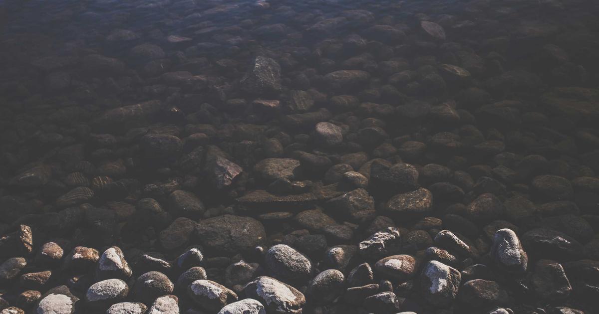 OpenClaw Core for Scientific Research: Building Local AI Agents for Data-Driven Discovery