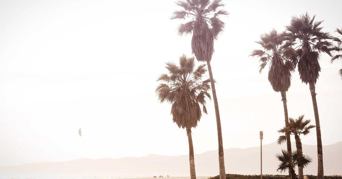 Building OpenClaw Skills for Mental Health Support: Creating Local AI Agents for Wellness and Therapy Applications