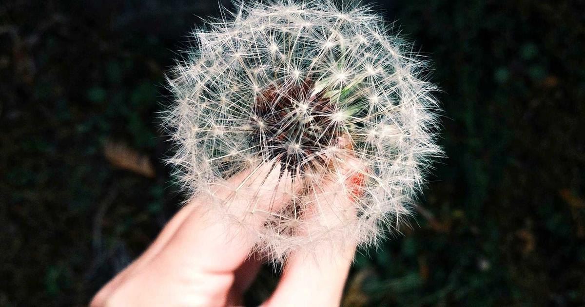 OpenClaw Core for Enterprise: Scaling Local AI Agents Across Organizational Workflows