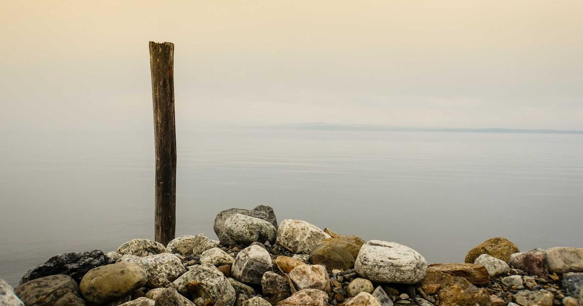 Building OpenClaw Skills for Social Media Management: Creating Local AI Agents for Content Curation and Engagement