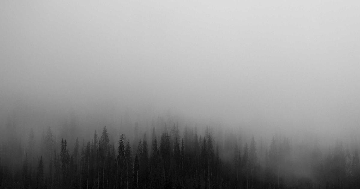 Securing Your OpenClaw Agent: Privacy-First Strategies for Local AI Deployment