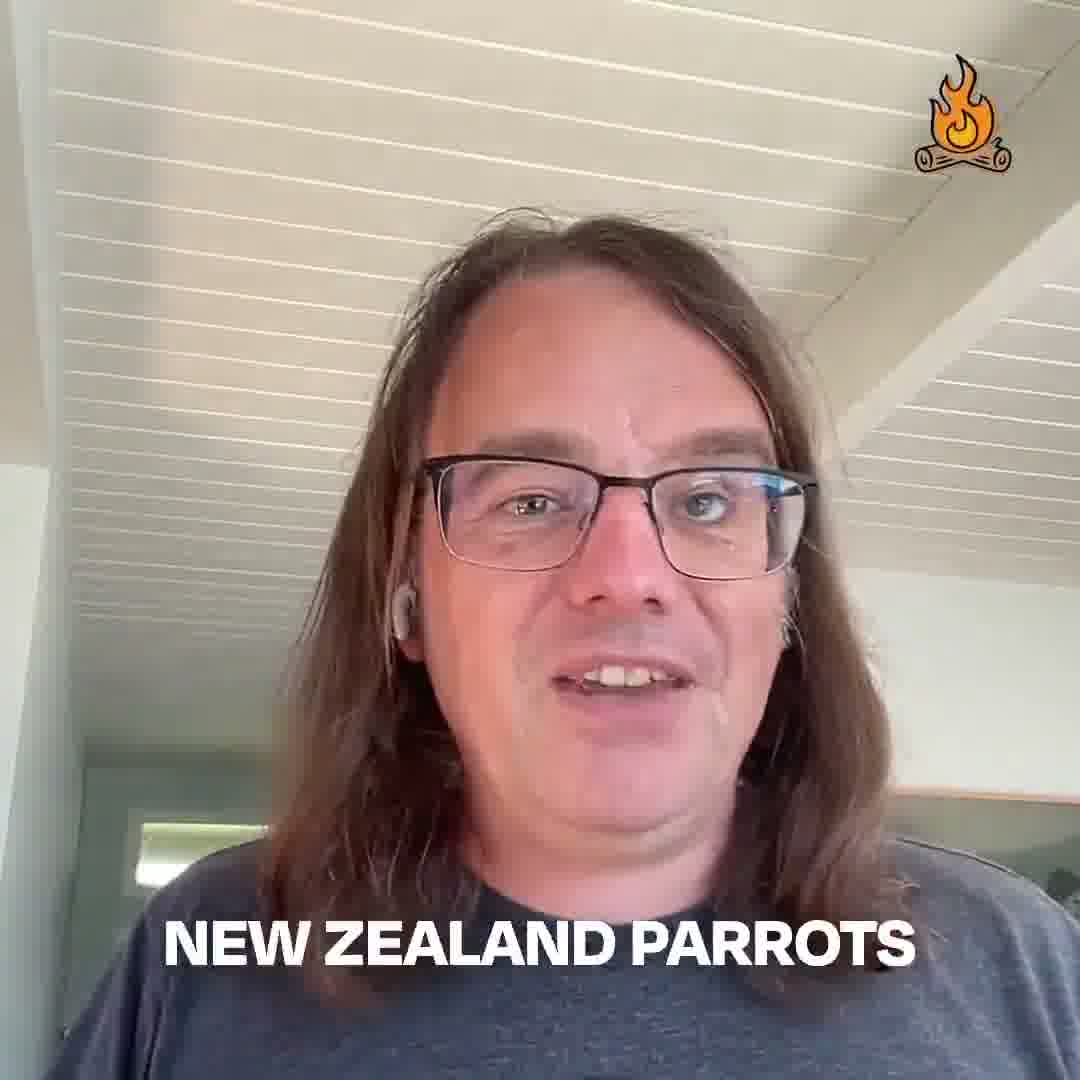 OpenClaw Ecosystem: The Kākāpō Parrot’s Survival Strategy Mirrors Local AI’s Path to Resilience